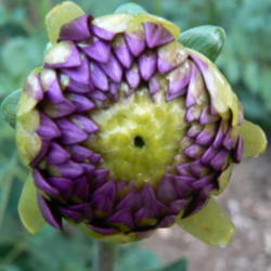 Thumb of 2013-07-17/tgarland/fe9e2e