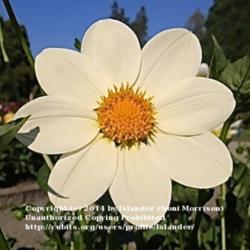 Thumb of 2014-07-22/Islander/083f38