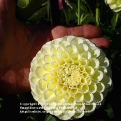 Thumb of 2014-07-22/Islander/813cc6