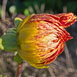 Thumb of 2014-10-12/edewitt/70b28f