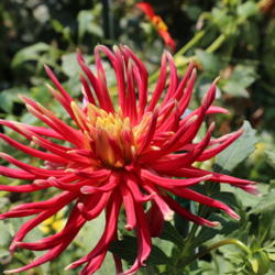 Thumb of 2017-08-22/sylviap/168179