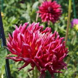 Thumb of 2017-08-22/sylviap/79586f