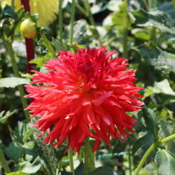 Thumb of 2017-08-22/sylviap/84fb0a