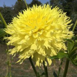 Thumb of 2017-09-13/Benny101/535876