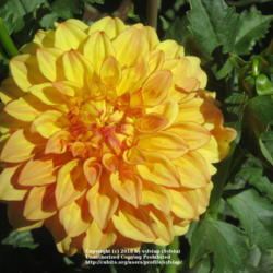 Thumb of 2018-07-14/sylviap/f1af4b