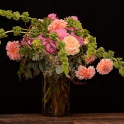 Thumb of 2018-10-30/teddahlia/daec74
