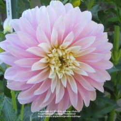 Thumb of 2019-07-29/sylviap/3c0624
