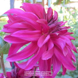 Thumb of 2019-08-02/sylviap/24b095