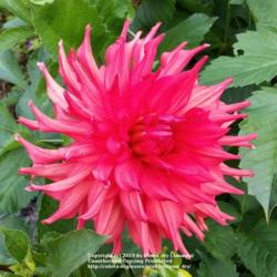 Thumb of 2019-09-02/blown_dry/79f0eb