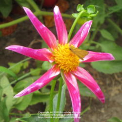 Thumb of 2019-09-08/sylviap/2a7250