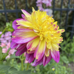 Thumb of 2021-08-04/AndreaB/7c536a