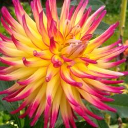 Thumb of 2021-09-17/CCvacation/46cc81