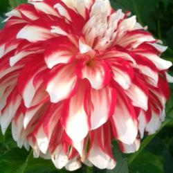 Thumb of 2021-09-17/CCvacation/a61d40