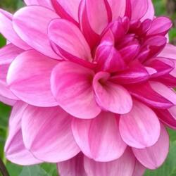 Thumb of 2021-09-17/CCvacation/c0a3aa