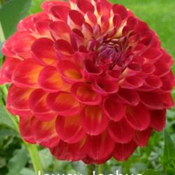 Thumb of 2021-09-17/CCvacation/e88d5f