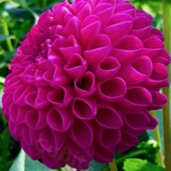 Thumb of 2021-09-17/CCvacation/ed8e18