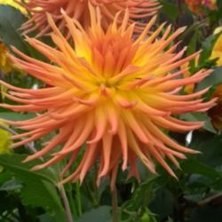 Thumb of 2021-09-18/CCvacation/f1cd75