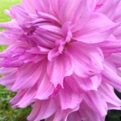 Thumb of 2021-09-21/CCvacation/0f2301