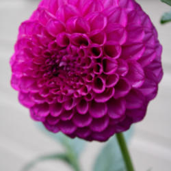 Thumb of 2021-10-09/edewitt/511f5f