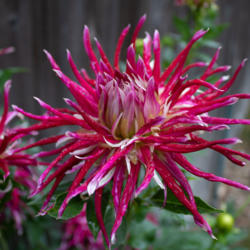 Thumb of 2021-10-09/edewitt/69b00a