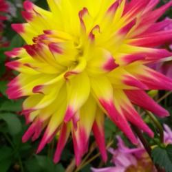 Thumb of 2021-10-12/CCvacation/266e74