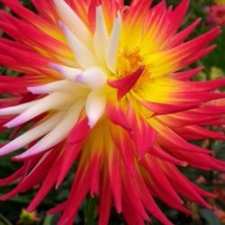 Thumb of 2021-10-12/CCvacation/5ec3d2