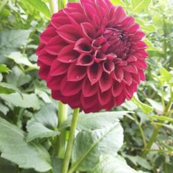 Thumb of 2021-10-14/honnat/085733