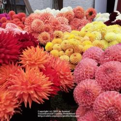 Thumb of 2021-10-14/honnat/ddae56