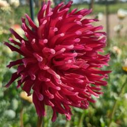 Thumb of 2022-08-18/edewitt/98c55a